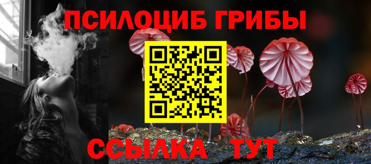 Прохладный  Псилоцибиновые грибы Magic Shrooms  Вход с VPN 