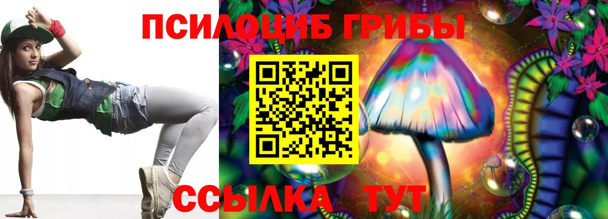Галлюциногенные грибы прущие грибы Прохладный